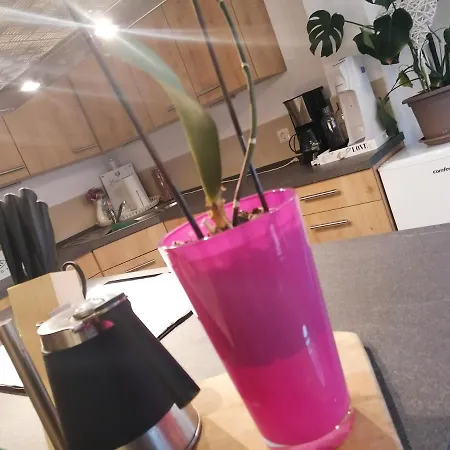Gemutliche Ferienwohnung Nahe